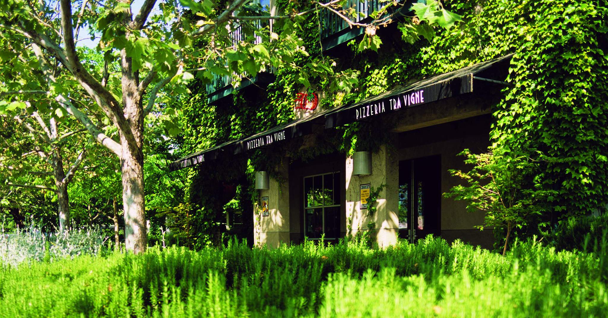 Southbridge Napa Valley