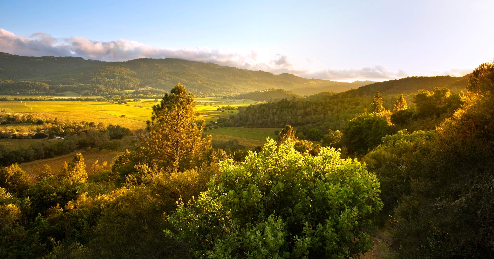 Calistoga Ranch, an Auberge Resort