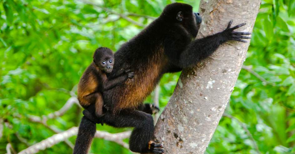 Aqua Wellness Resort