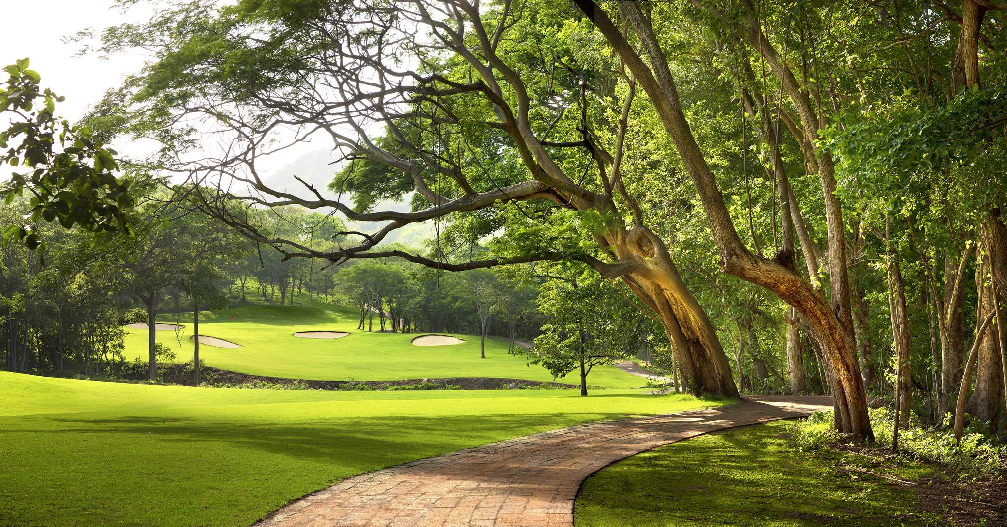 Mukul Beach Golf & Spa