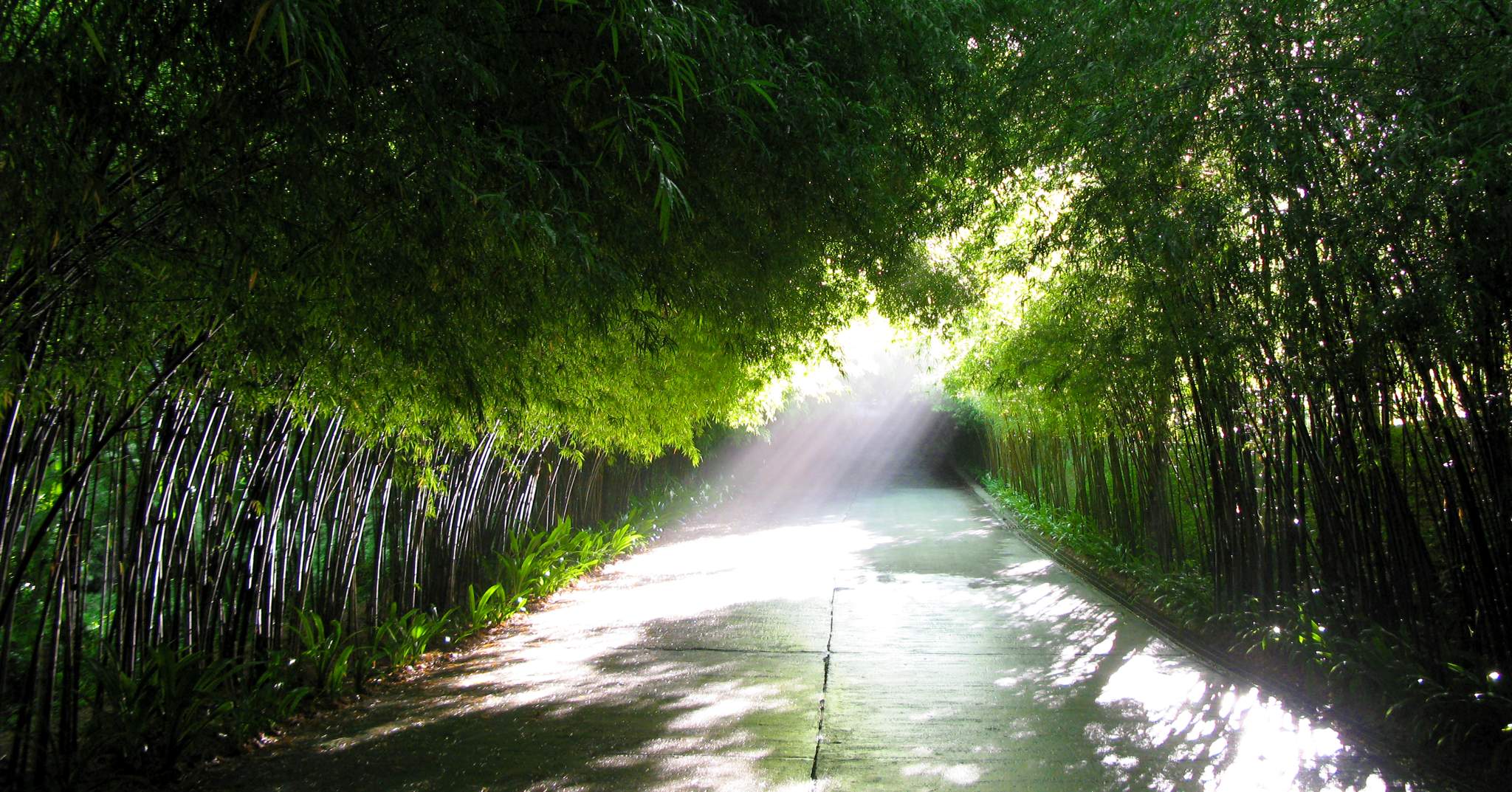 The Pavilions Phuket