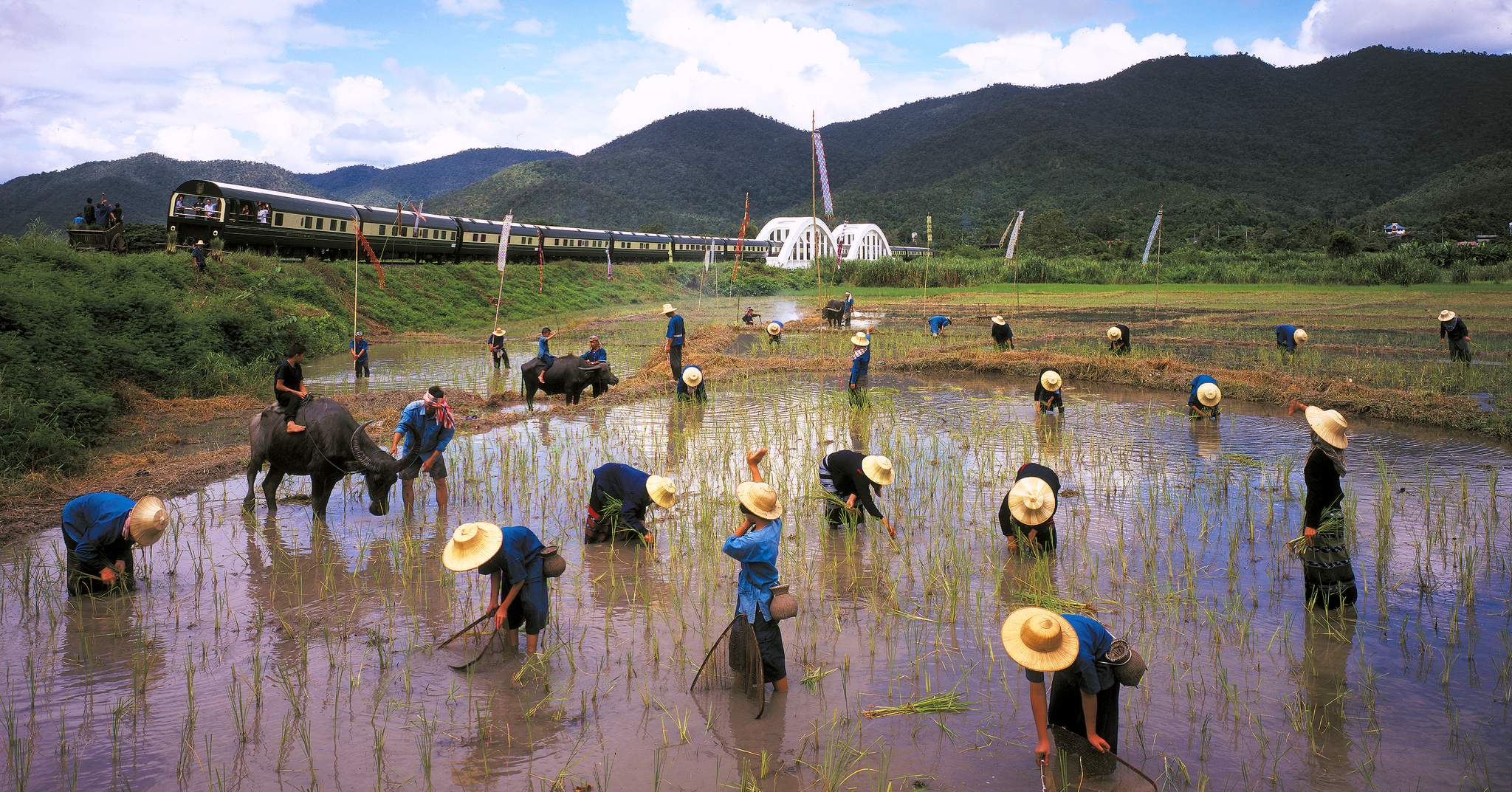 Eastern & Oriental Express