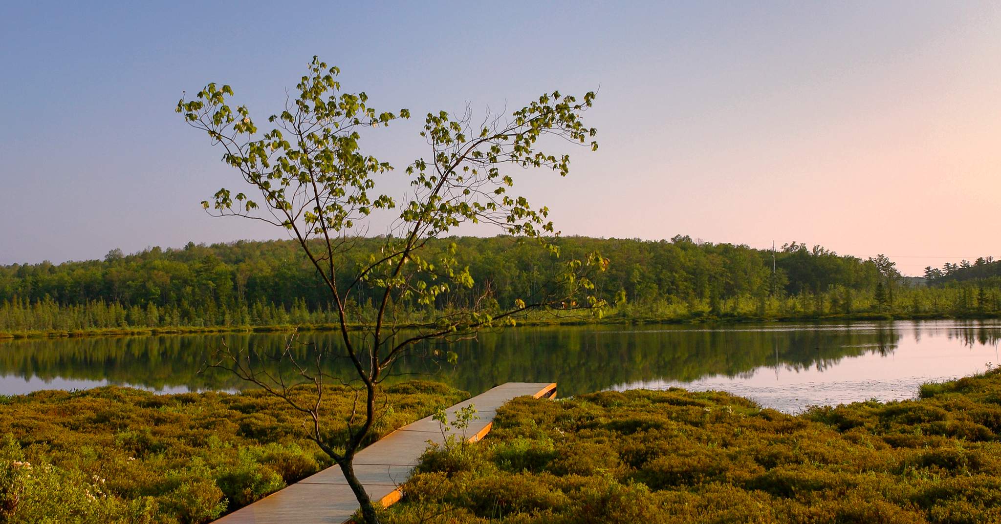 The Lodge at Woodloch