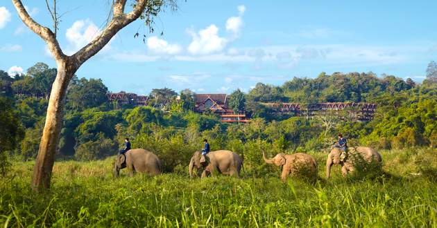 Chiang Rai, Thailand,Anantara Golden Triangle Elephant Camp & Resort