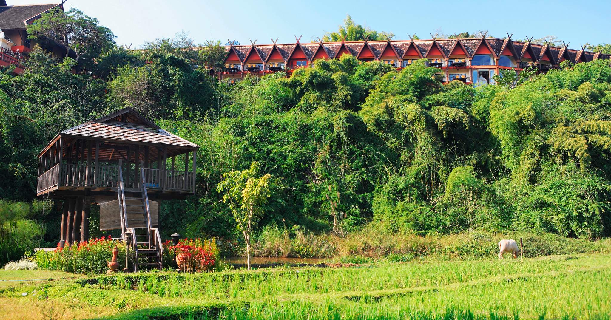 Anantara Golden Triangle Elephant Camp & Resort