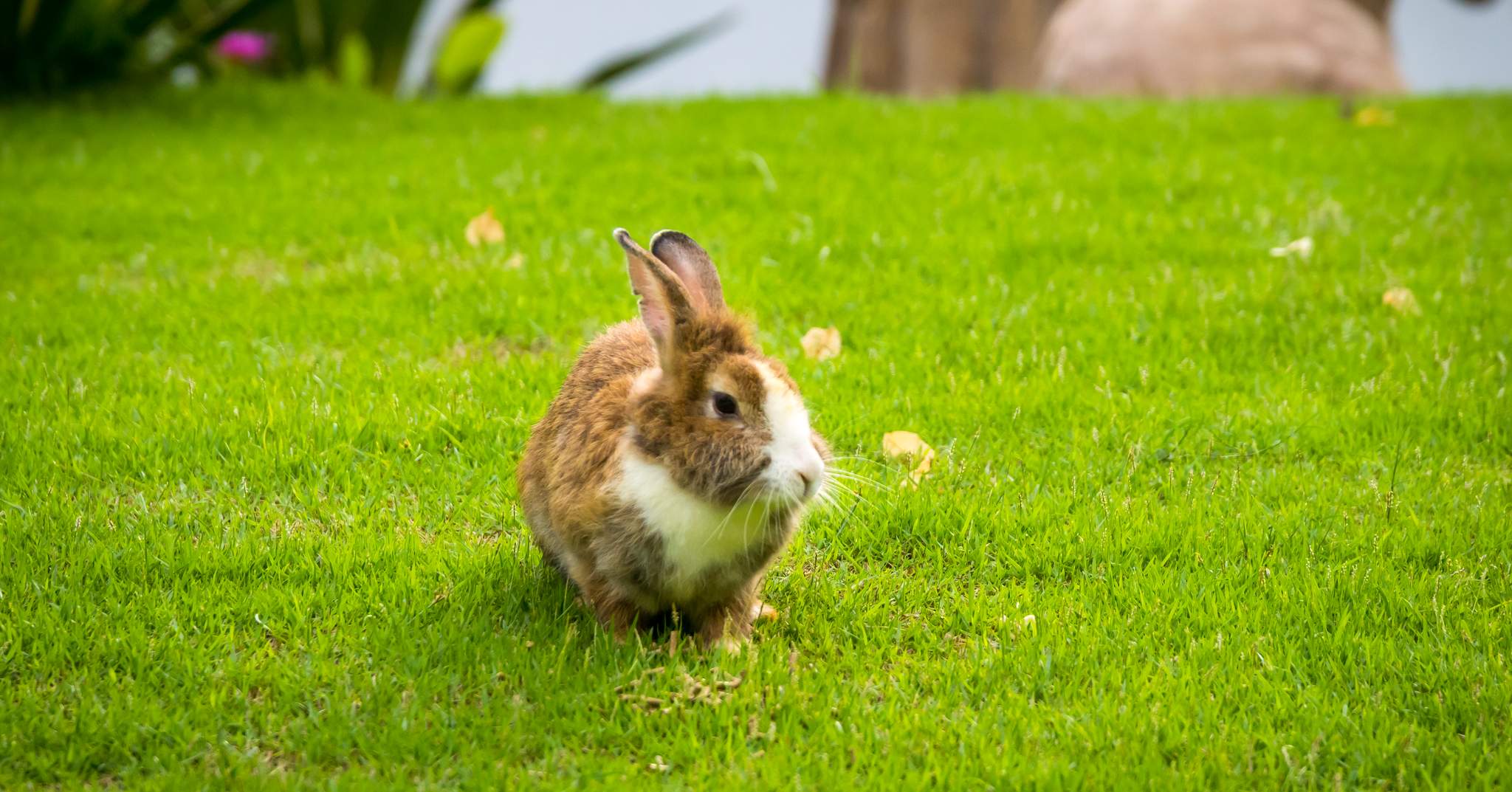 Thavorn Palm Beach Resort