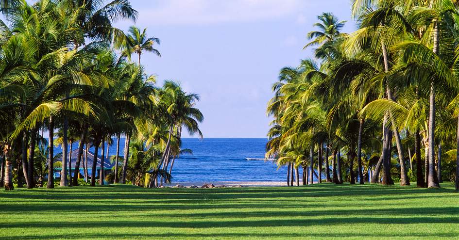 Nisbet Plantation Beach Club