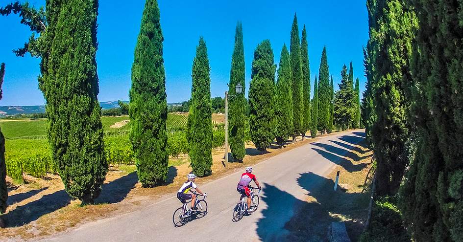 duvine tours