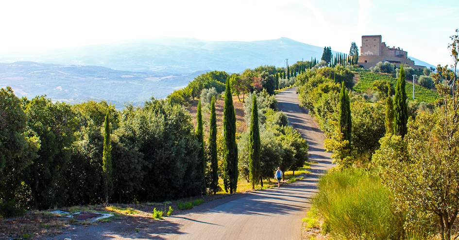duvine tours