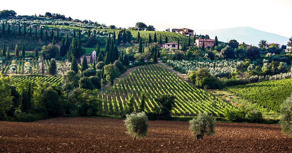 DuVine Cycling + Adventure Co.