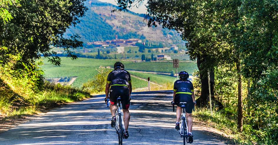 duvine tours