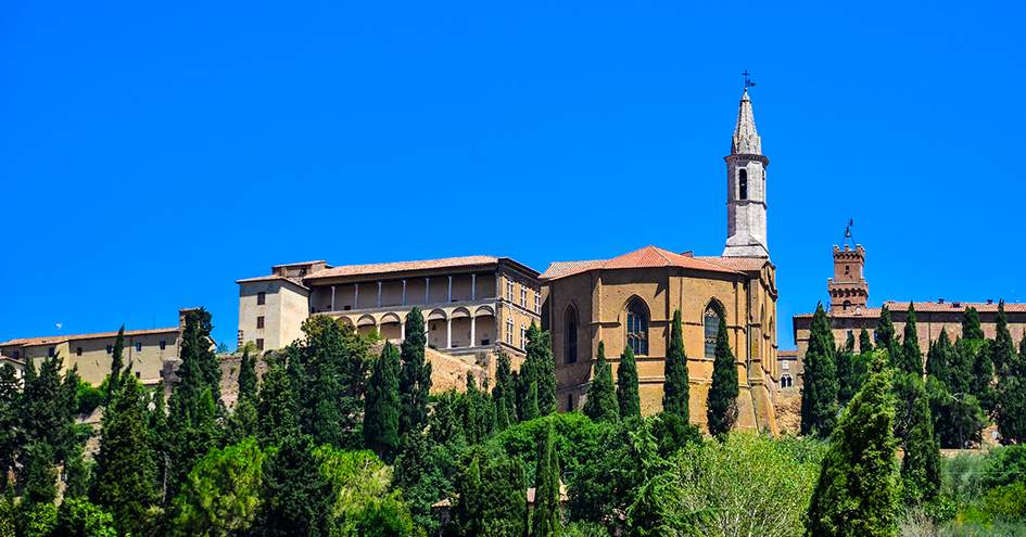 duvine tours