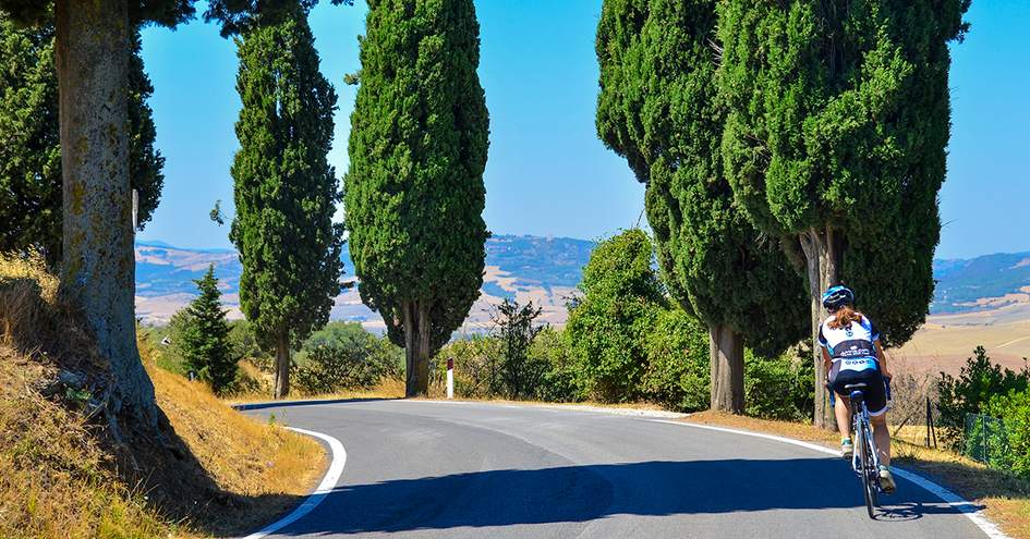 duvine tours