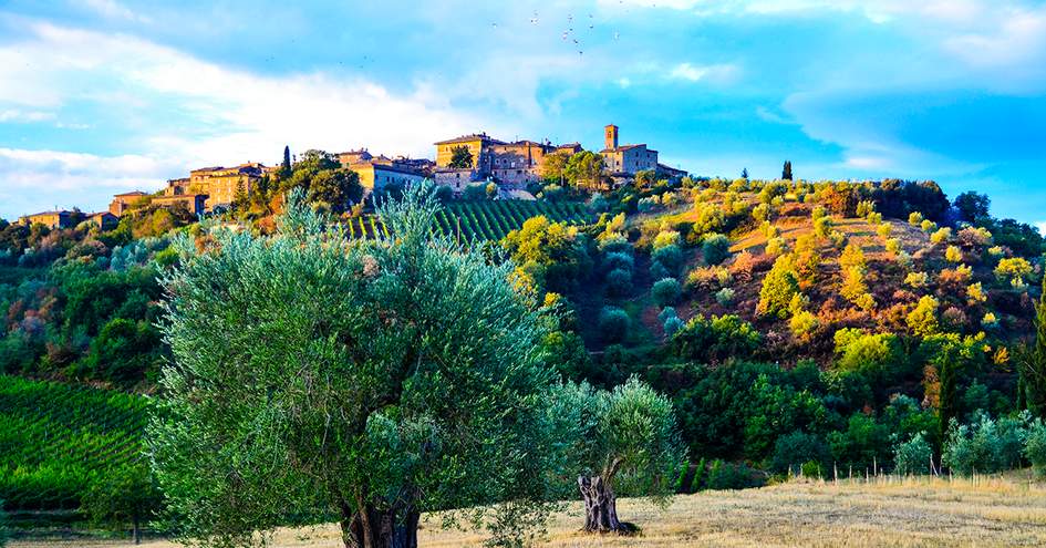 DuVine Cycling + Adventure Co.