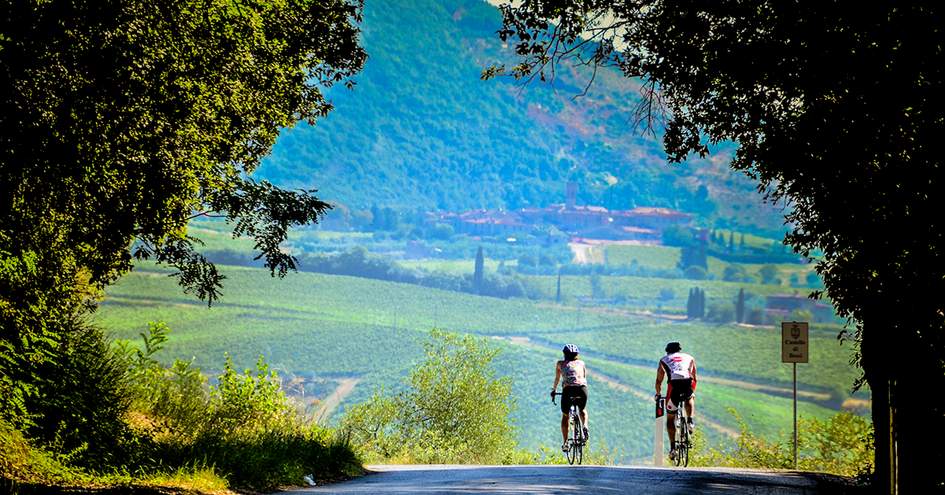 duvine tours