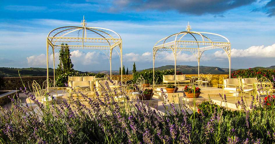 duvine tours