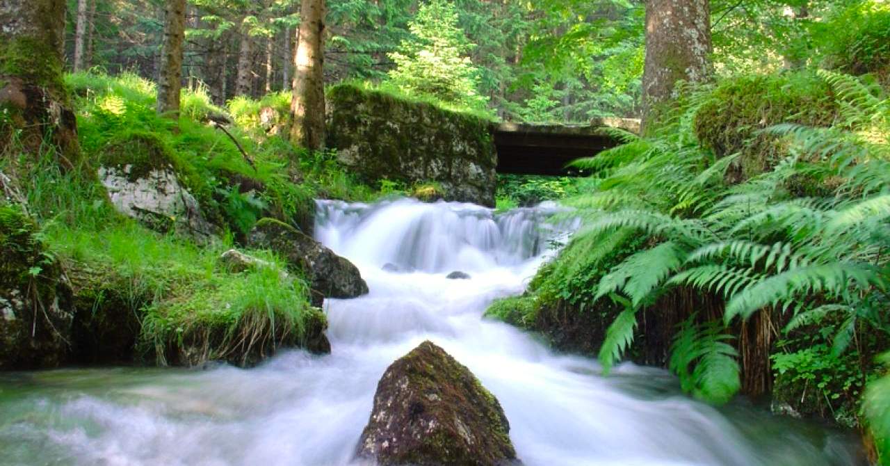 Muckross Park Hotel & Spa