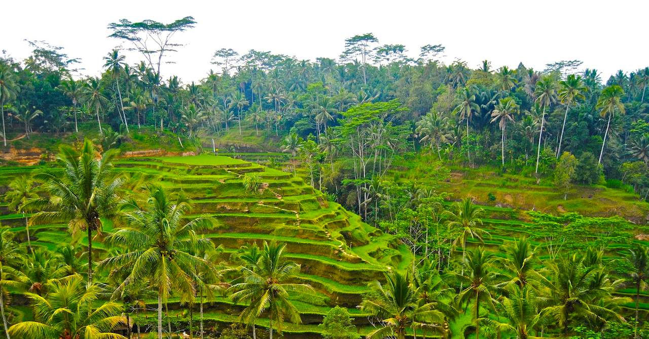Hanging Gardens of Bali