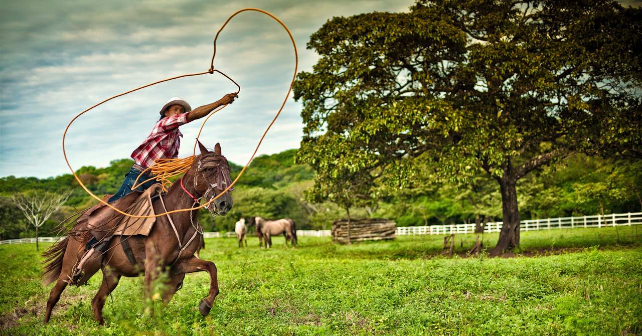 Cala Luna Boutique Hotel