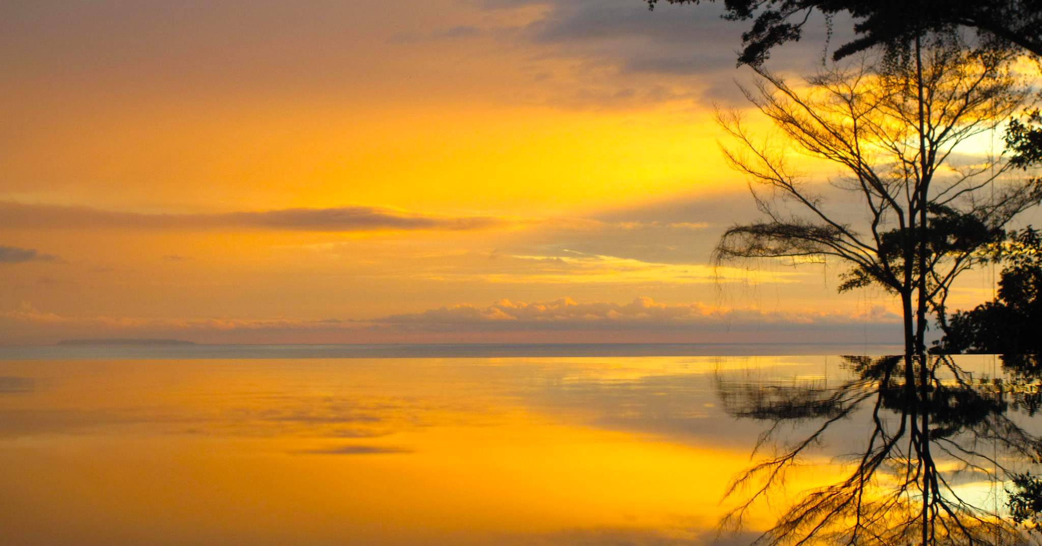 Oxygen Jungle Villas