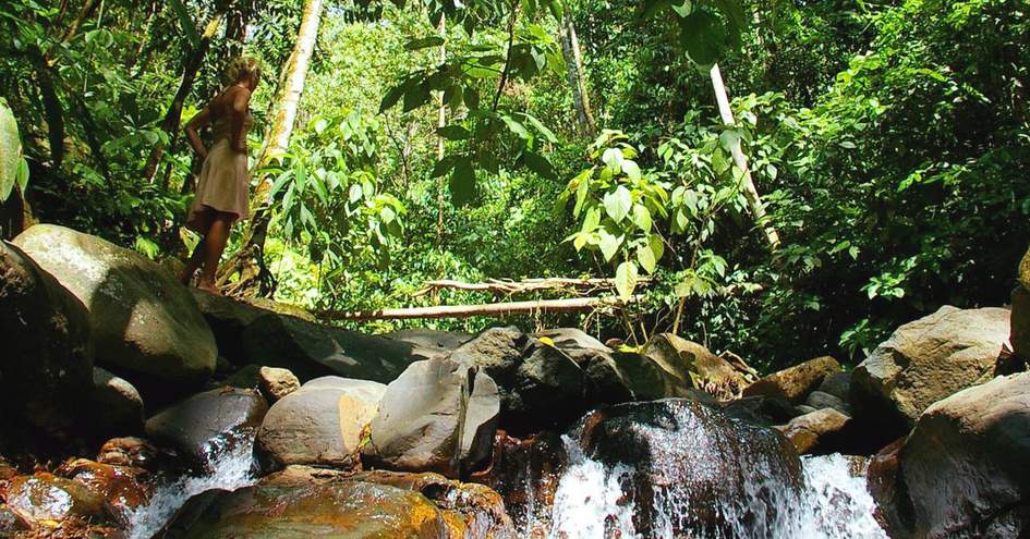 Oxygen Jungle Villas