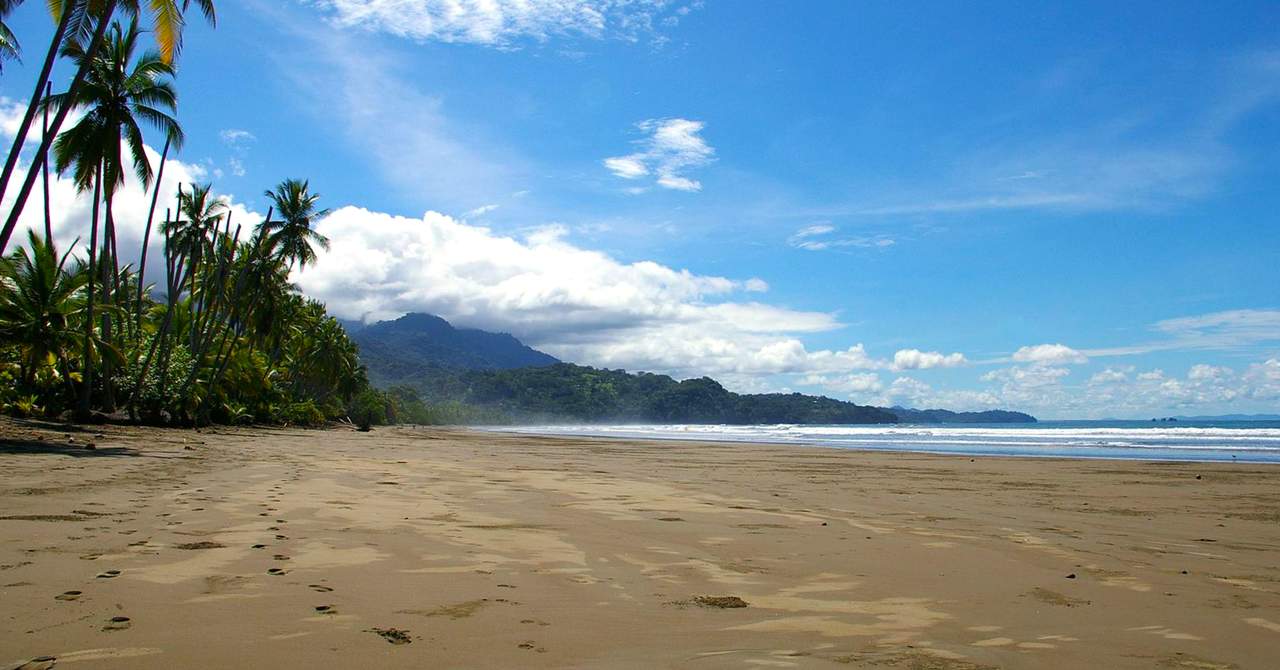 Oxygen Jungle Villas