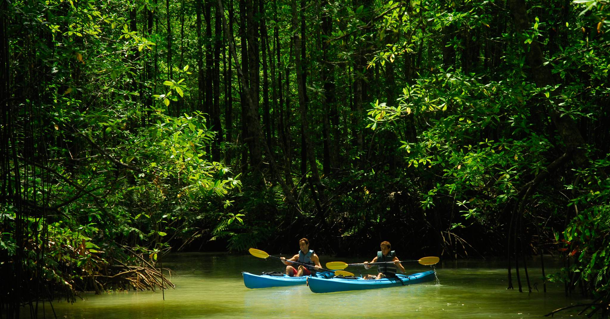 Playa Nicuesa Rainforest Lodge