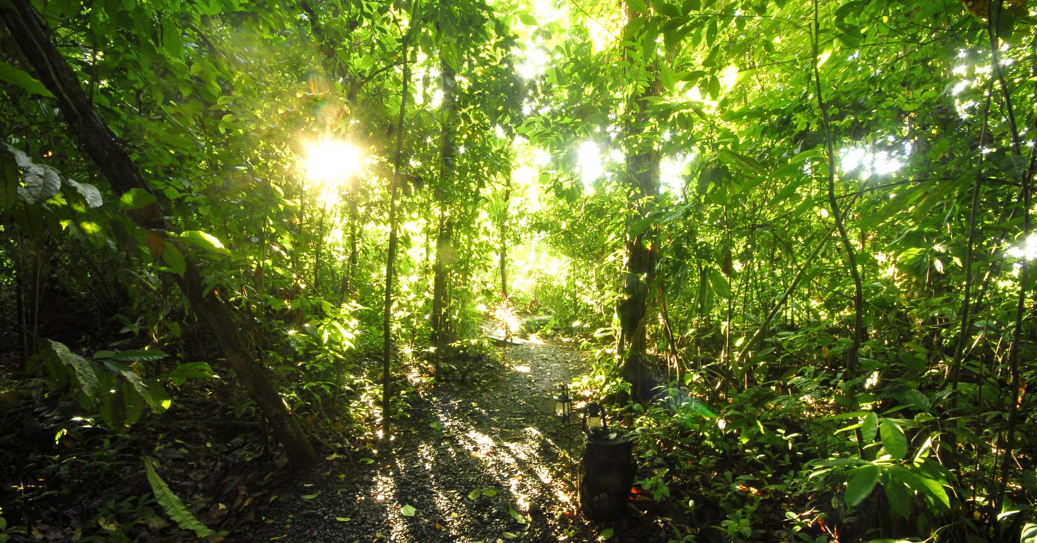 Playa Nicuesa Rainforest Lodge