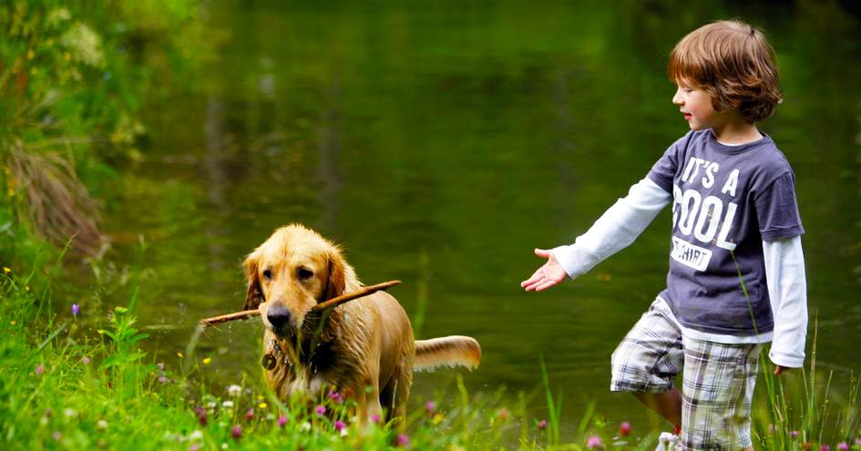 Hoteldorf Gruner Baum