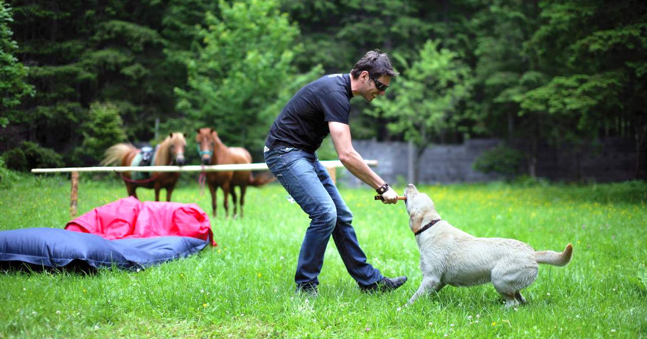 Hoteldorf Gruner Baum