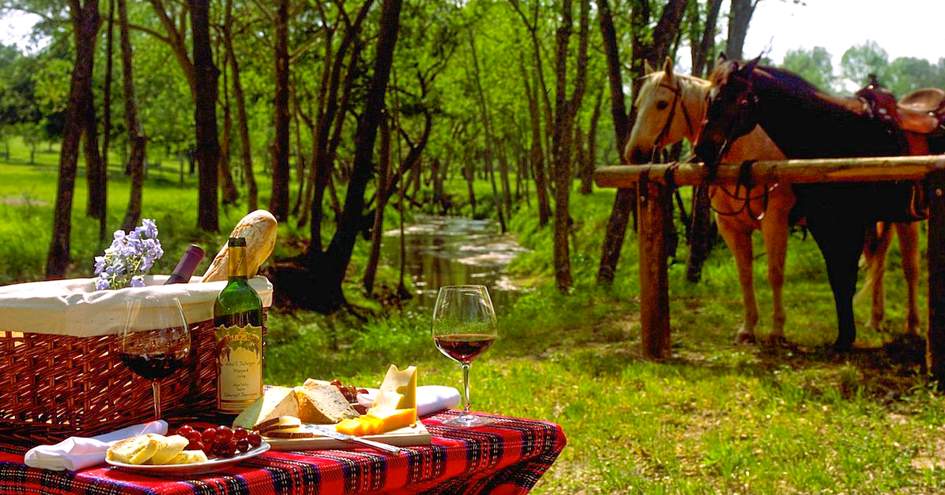 The Inn at Dos Brisas