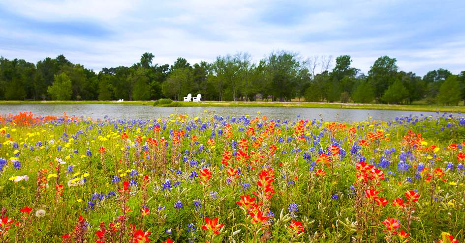 The Inn at Dos Brisas