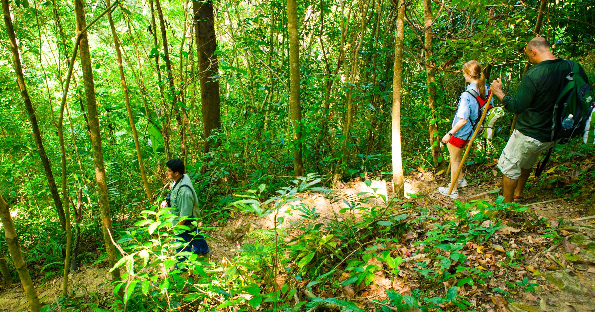 The Lodge at Pico Bonito
