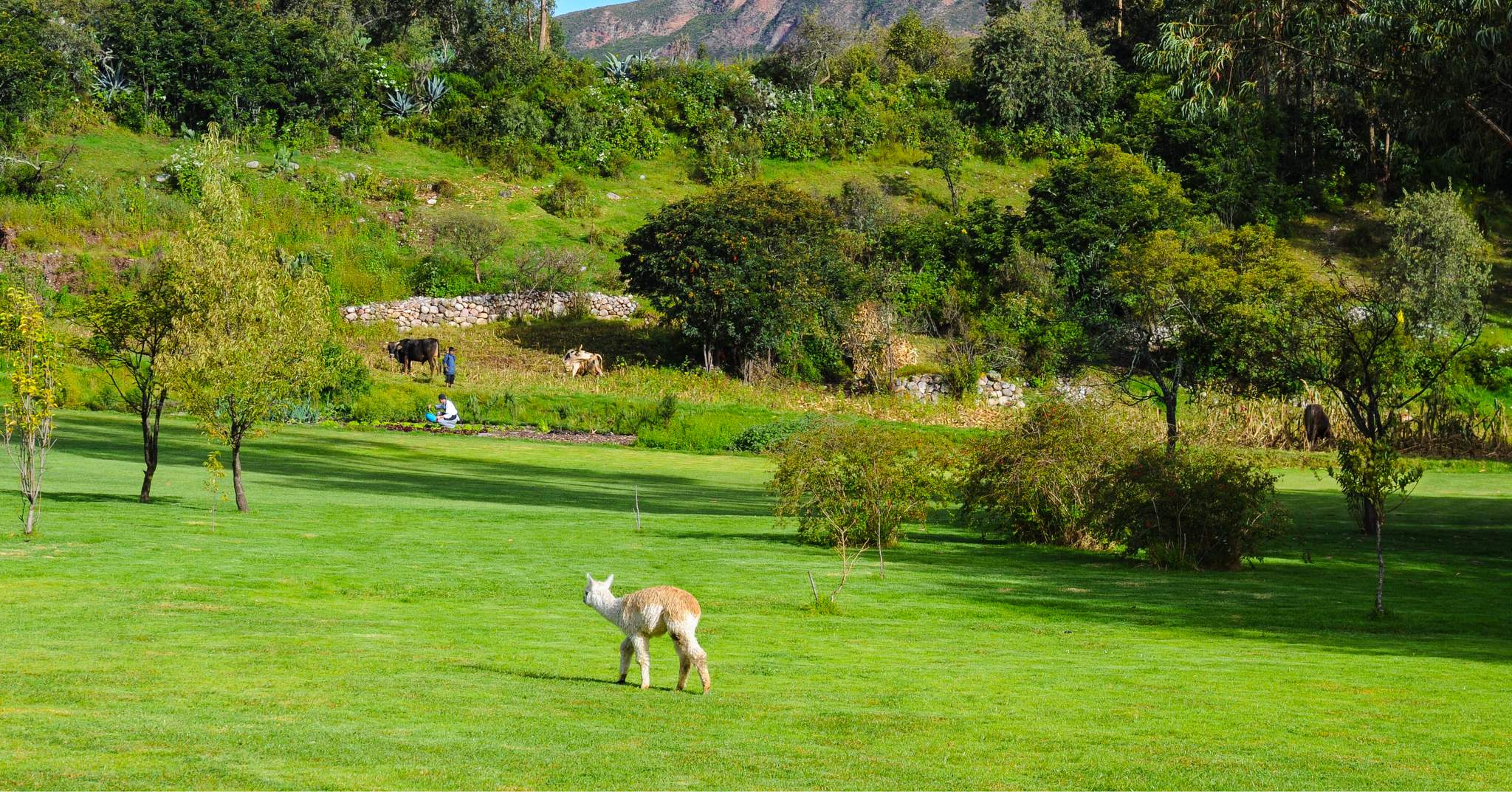 Belmond Hotel Rio Sagrado