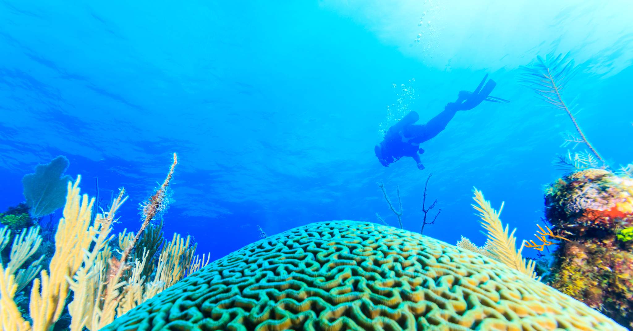 St. George's Caye Resort