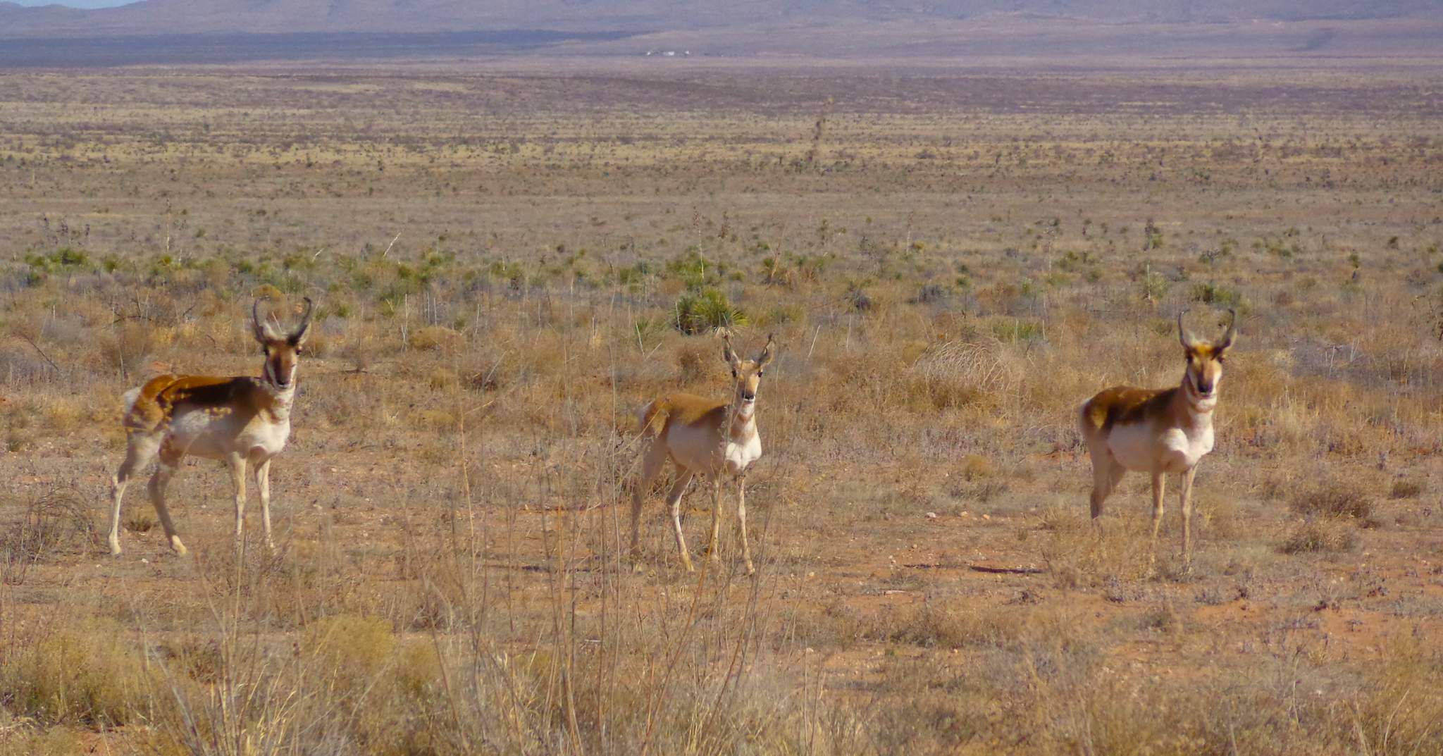 Sierra Grande Lodge & Spa