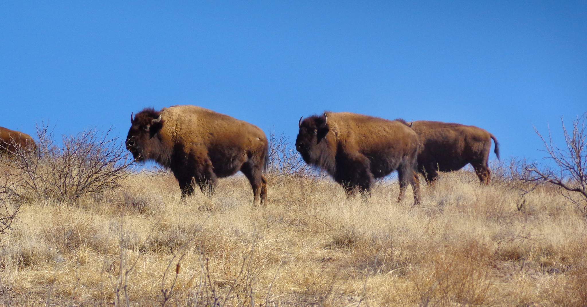 Sierra Grande Lodge & Spa