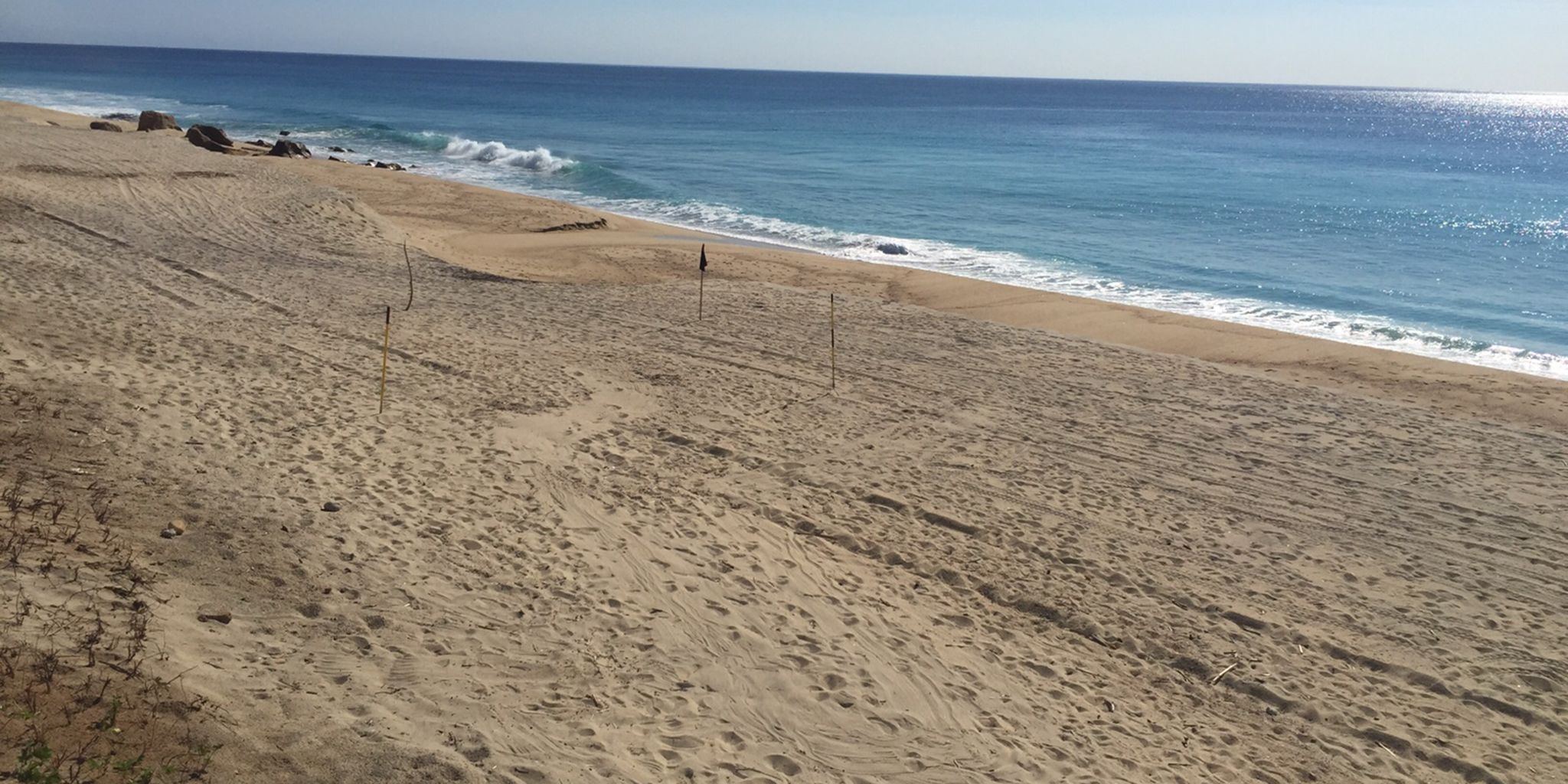 JW Marriott Los Cabos Beach Resort & Spa