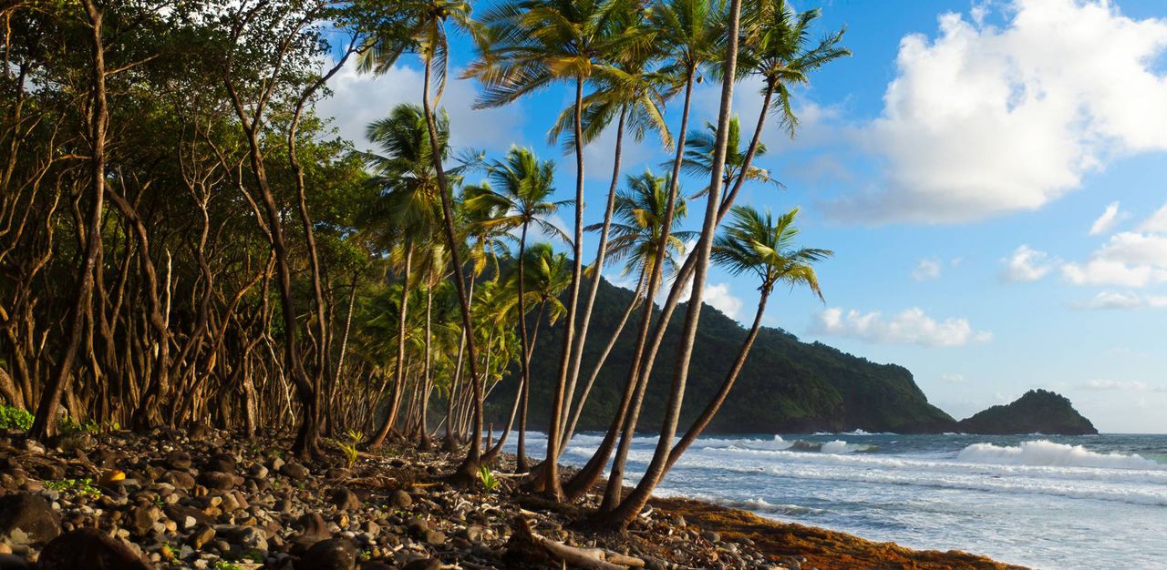 Rosalie Bay Resort in Roseau, Dominica