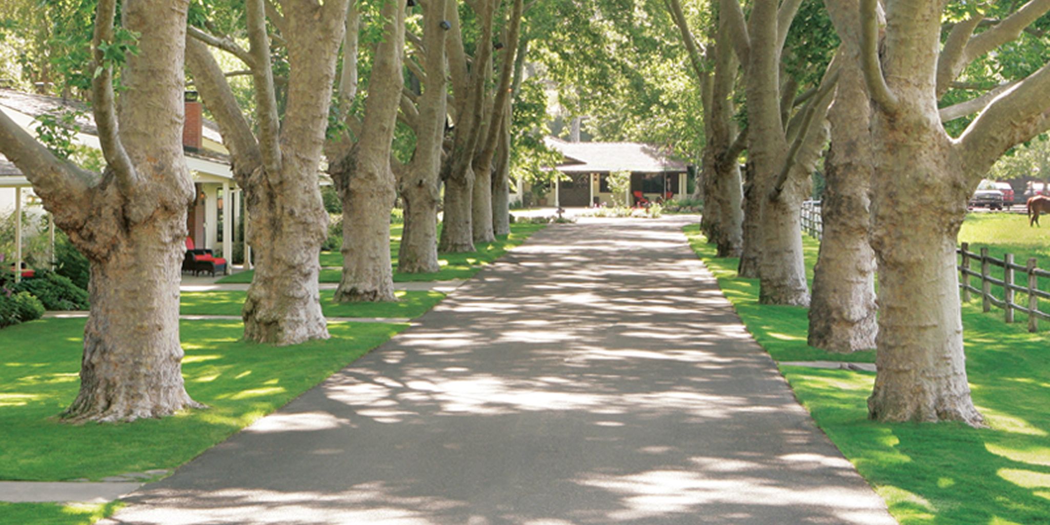 Alisal Guest Ranch & Resort in Solvang, California Lodge & Ranch Deals