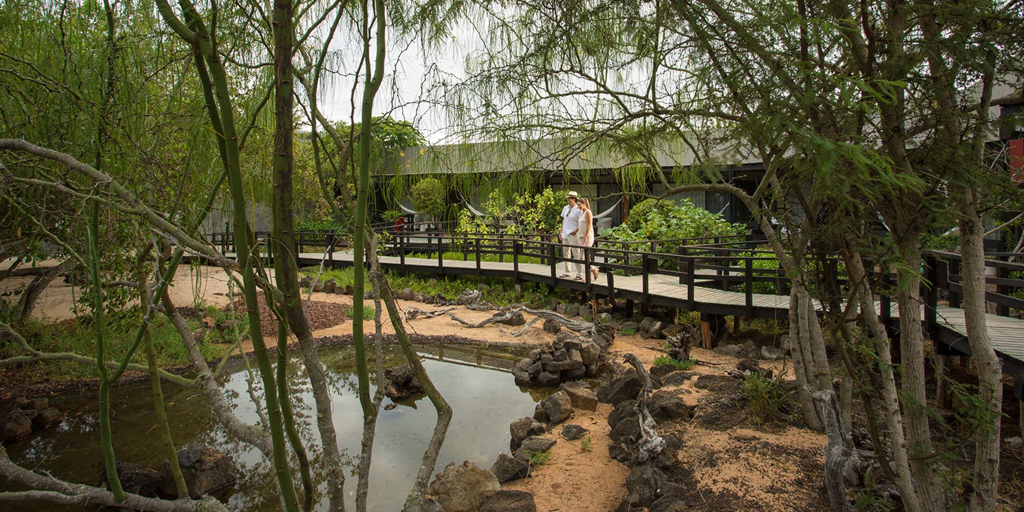 Finch Bay Hotel Tripadvisor Finch Bay Hotel Tripadvisor