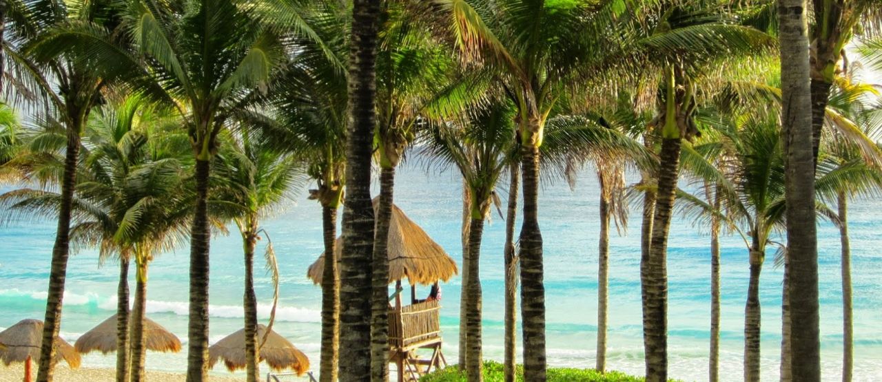 The Westin Resort & Spa, Cancun