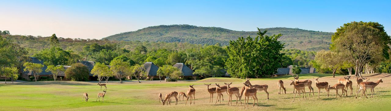 Kruger Park Lodge