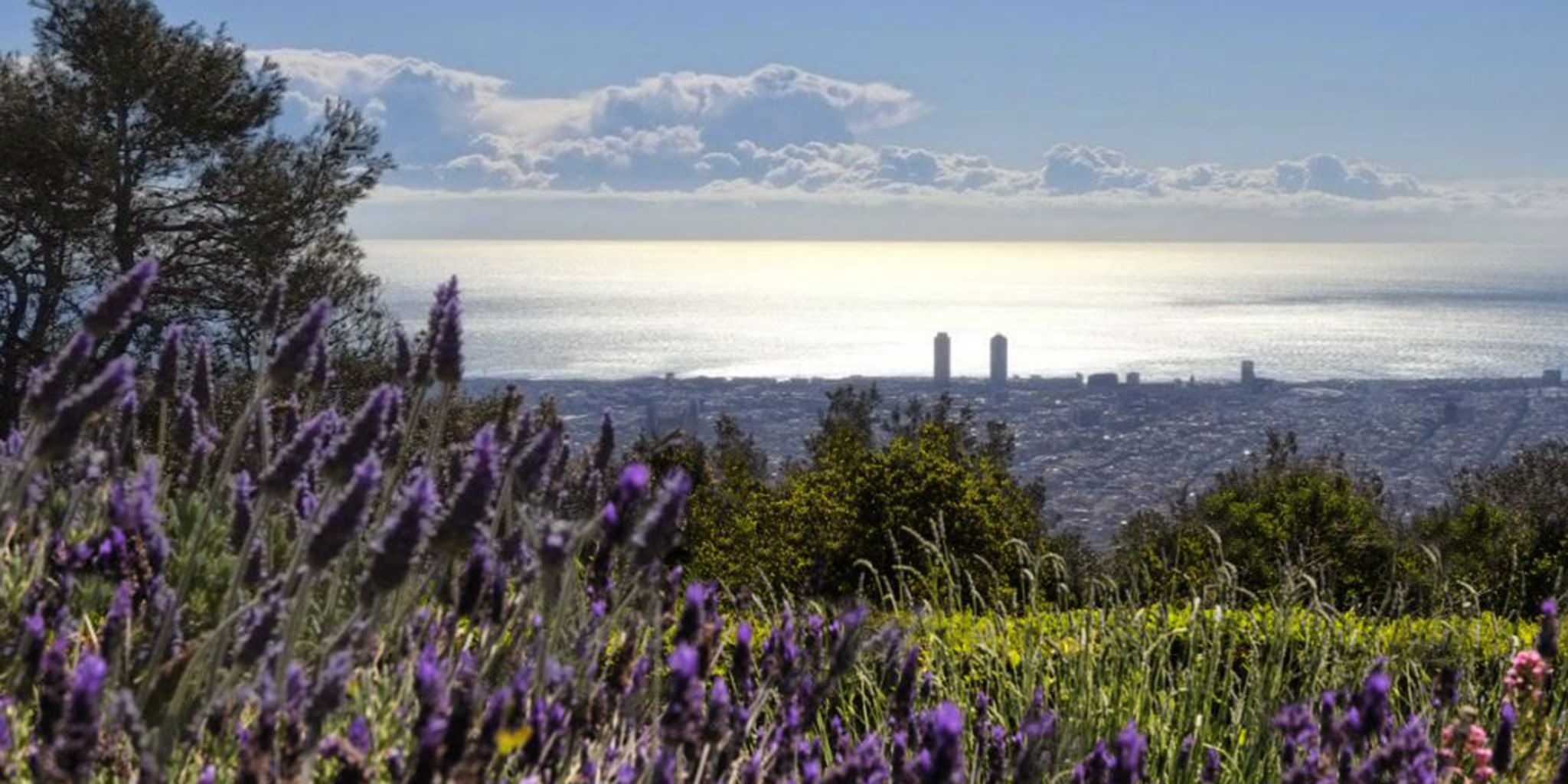 Gran Hotel La Florida