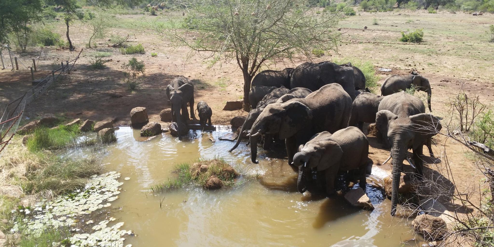 Kwa Maritane Bush Lodge