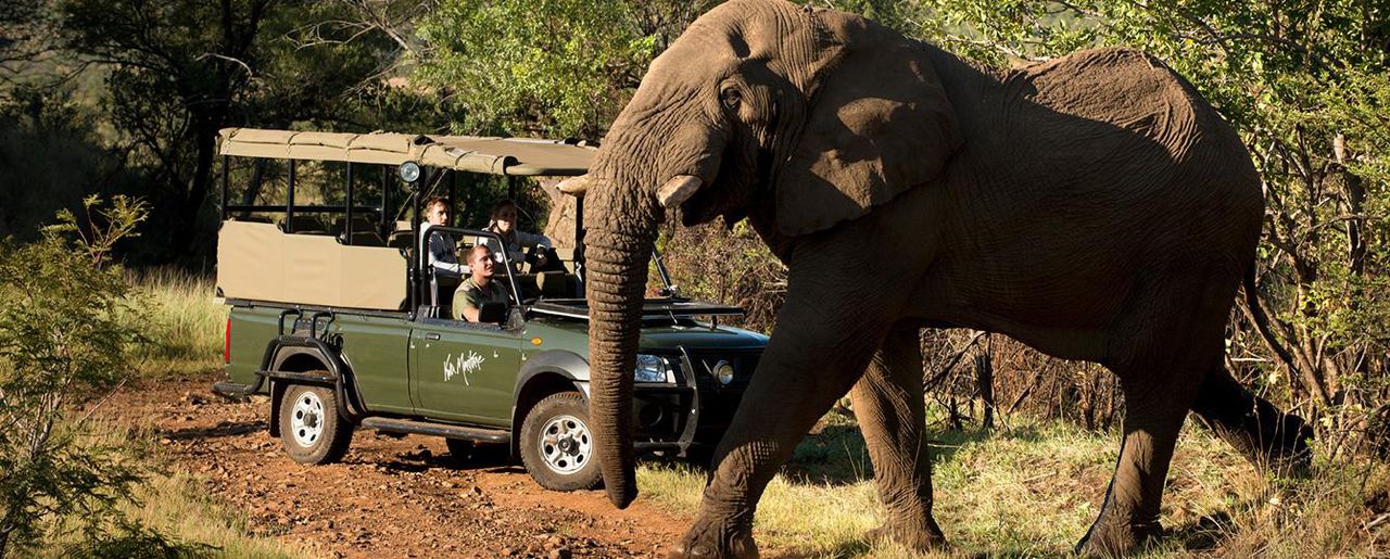 Kwa Maritane Bush Lodge