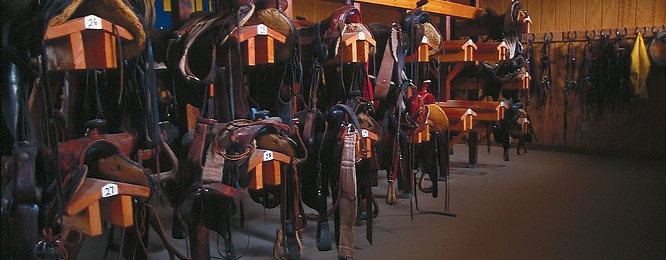 The Hideout Lodge & Guest Ranch