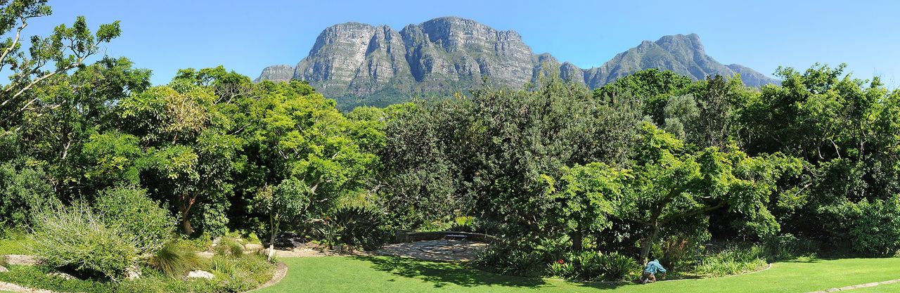 Vineyard Hotel & Spa