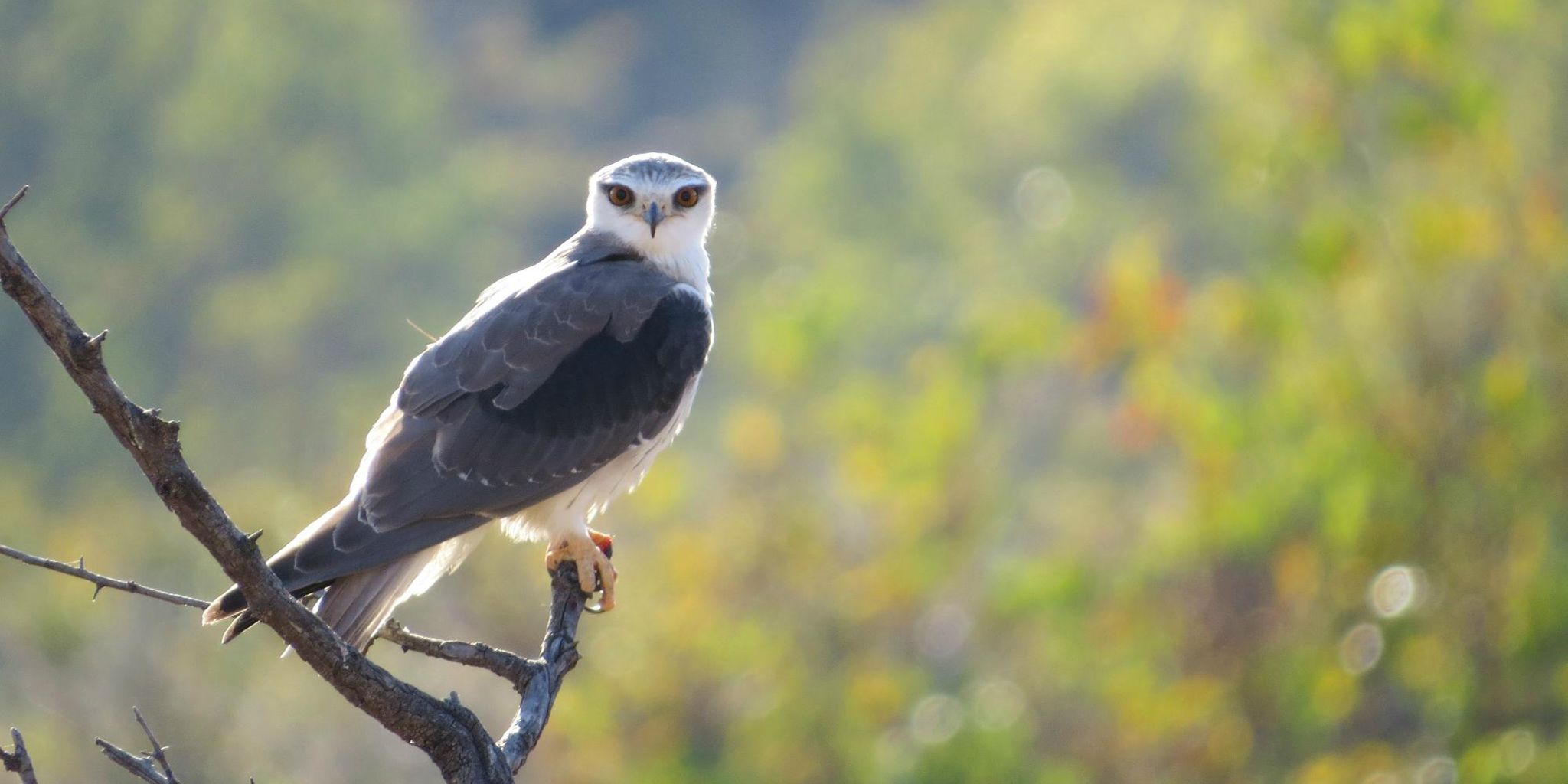 Clearwater Kudu Lodge
