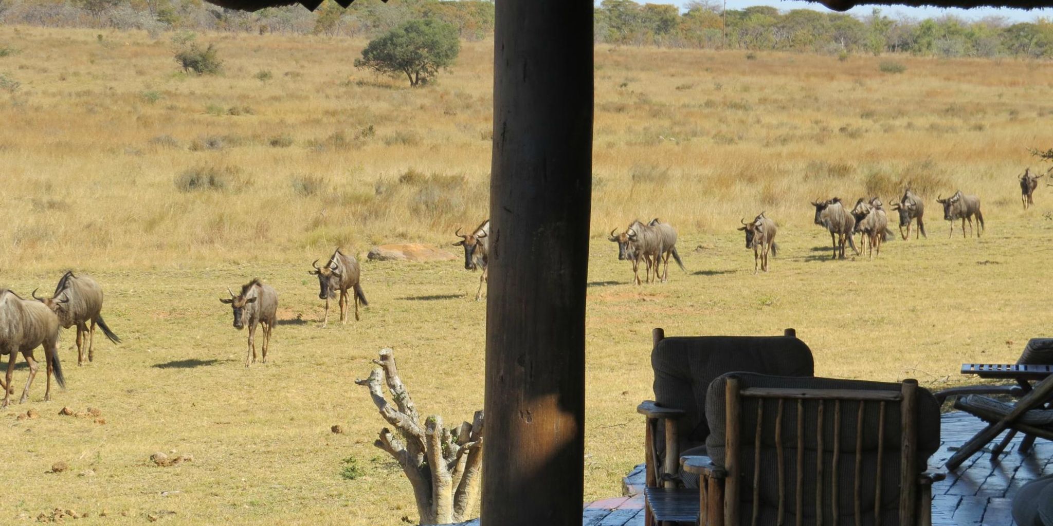 Clearwater Kudu Lodge